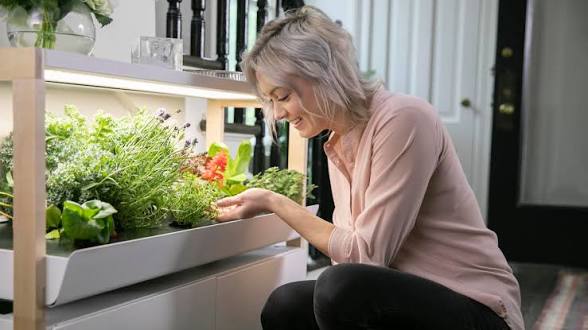 Why a Tiny Sensor Shift Can Reshape Your Smart Farm Operation